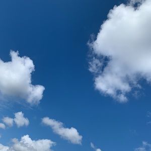 Meet your Posher, Isabella